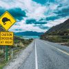 Kiwi crossing sign New Zealand