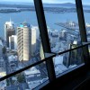 View from Sky Tower Auckland